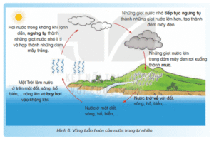 Sơ đồ vòng tuần hoàn của nước trong tự nhiên gồm bay hơi, ngưng tụ, mưa và dòng chảy